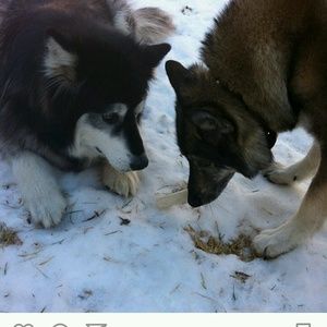 Meet your Posher, Erick